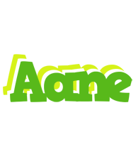 Aane picnic logo