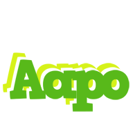 Aapo picnic logo