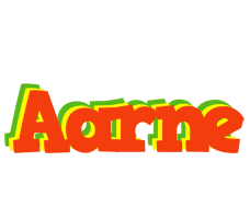 Aarne bbq logo