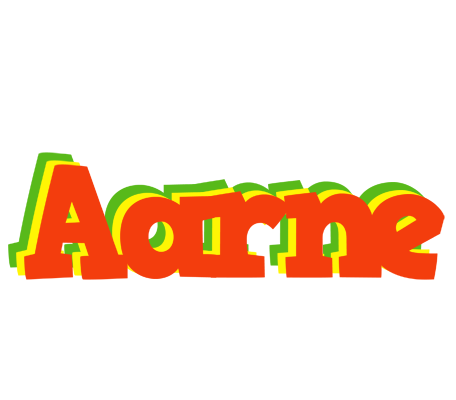 Aarne bbq logo
