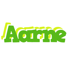 Aarne picnic logo