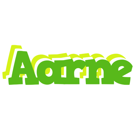 Aarne picnic logo