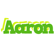 Aaron picnic logo