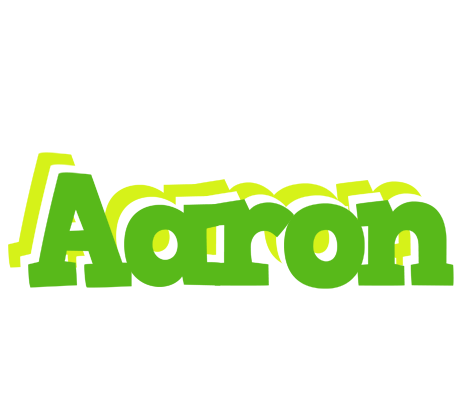 Aaron picnic logo