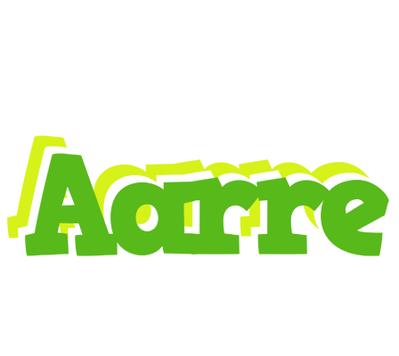 Aarre picnic logo