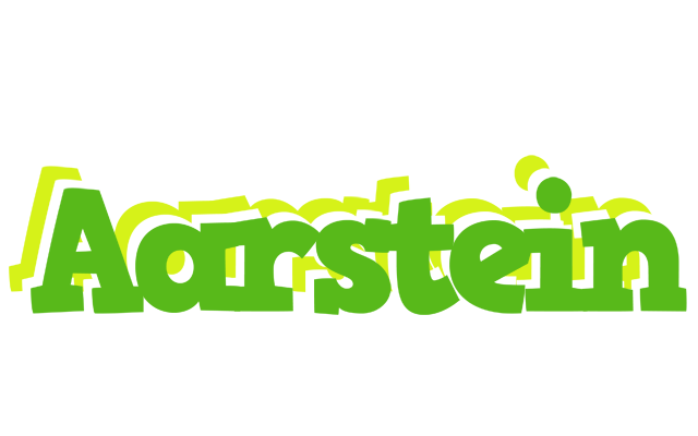 Aarstein picnic logo