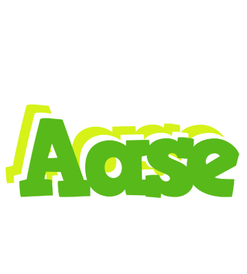 Aase picnic logo