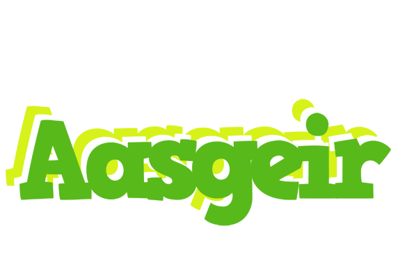 Aasgeir picnic logo