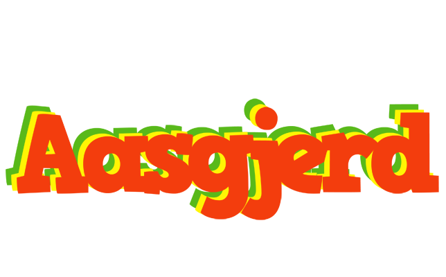 Aasgjerd bbq logo