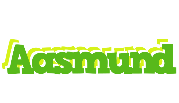 Aasmund picnic logo