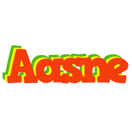 Aasne bbq logo