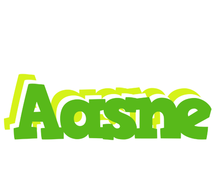 Aasne picnic logo