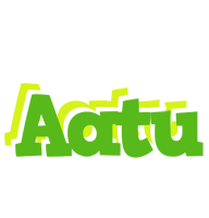 Aatu picnic logo