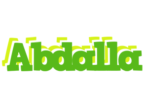 Abdalla picnic logo