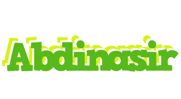Abdinasir picnic logo
