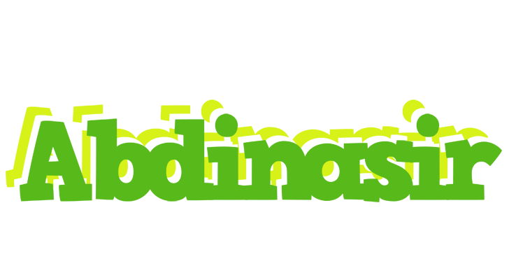 Abdinasir picnic logo