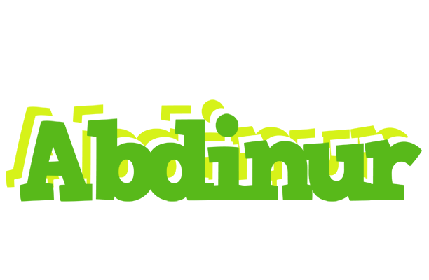 Abdinur picnic logo