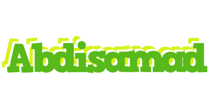 Abdisamad picnic logo