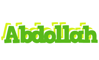 Abdollah picnic logo