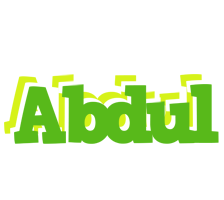 Abdul picnic logo