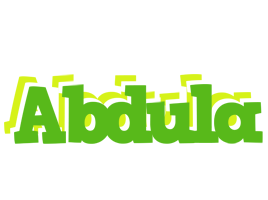 Abdula picnic logo