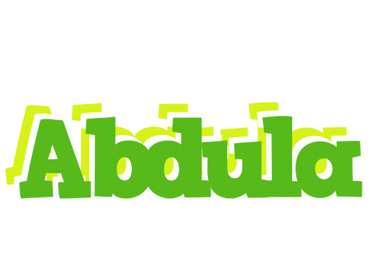 Abdula picnic logo