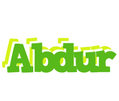 Abdur picnic logo