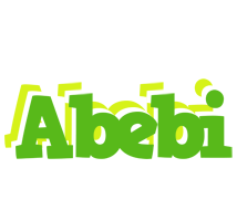 Abebi picnic logo