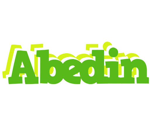 Abedin picnic logo