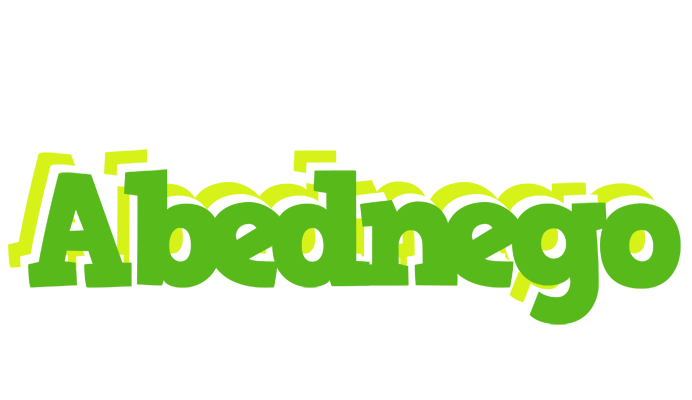 Abednego picnic logo