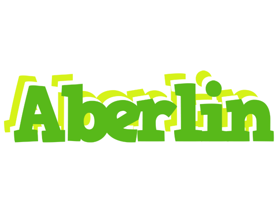 Aberlin picnic logo