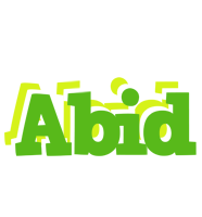 Abid picnic logo