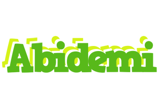 Abidemi picnic logo