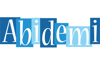 Abidemi winter logo