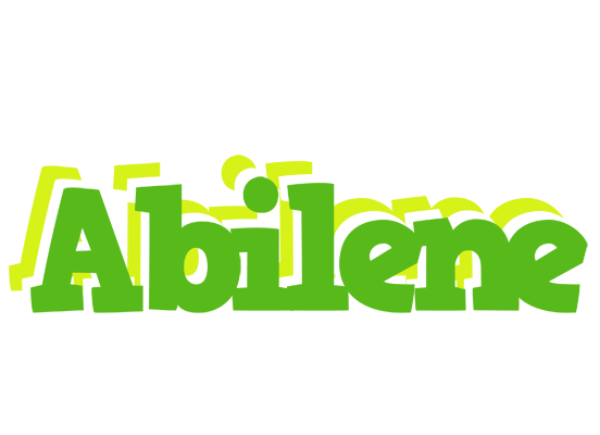 Abilene picnic logo