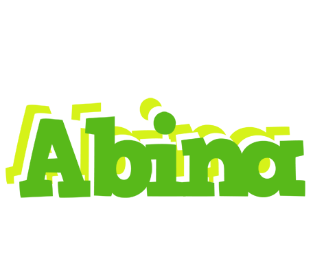 Abina picnic logo