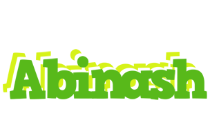 Abinash picnic logo