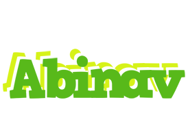 Abinav picnic logo