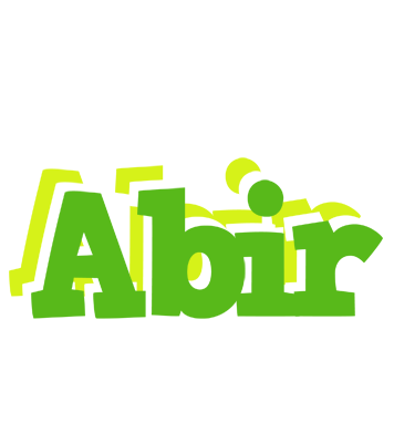 Abir picnic logo
