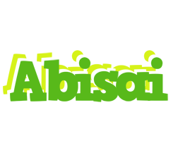 Abisai picnic logo