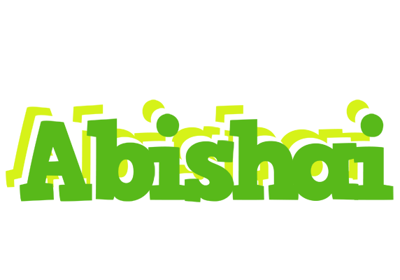 Abishai picnic logo