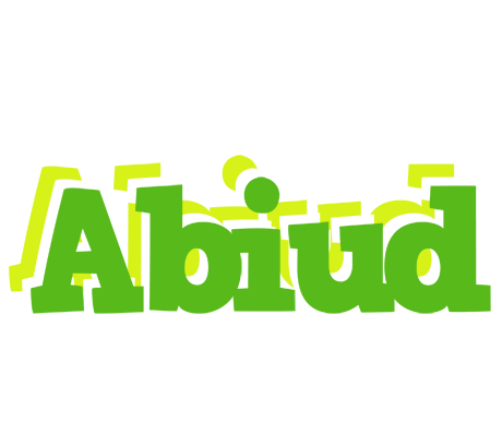 Abiud picnic logo