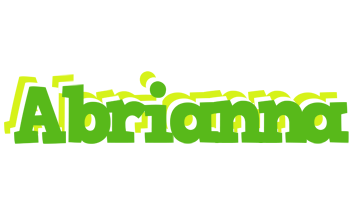 Abrianna picnic logo