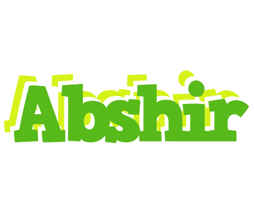 Abshir picnic logo