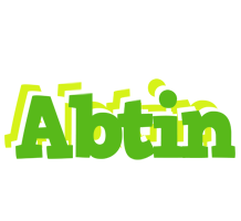 Abtin picnic logo