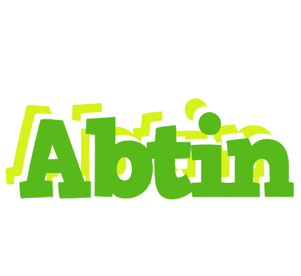 Abtin picnic logo