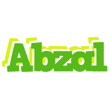 Abzal picnic logo