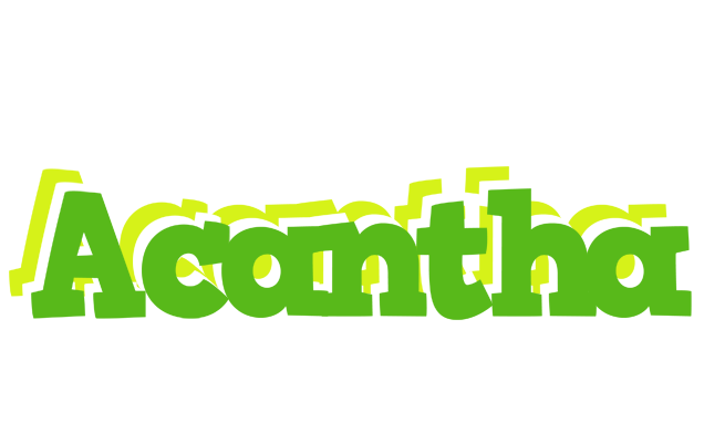 Acantha picnic logo