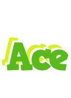 Ace picnic logo