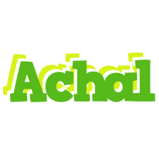 Achal picnic logo